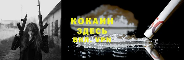 гидра Майский