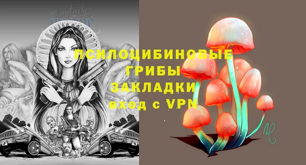 гидра Майский