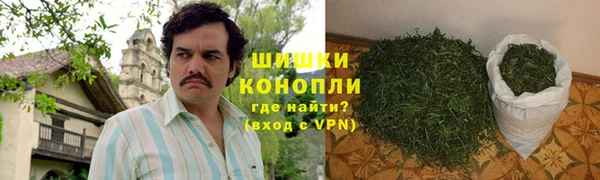 хмурый Бердск